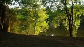 Wild Turkey Lane , SC 29020