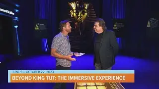 Beyond King Tut: The Immersive Experience