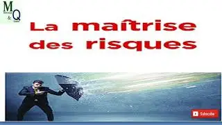 Maitrise des risques