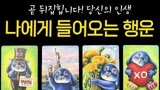 [타로]드디어 때가 왔습니다. 조만간 당신에게 들이닥칠 천운과 대운 (소름 주의)