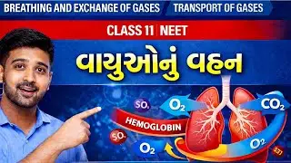 Transport of Gases | Class 11 NCERT | NEET Biology Gujarati 2026