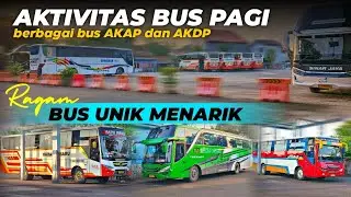 MENARIK🔥 Aktivitas Bus pagi di terminal Banyuwangi || 2026
