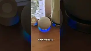 Echo Dot 5th Gen Review: Compact Speaker with Big Sound & Alexa Control