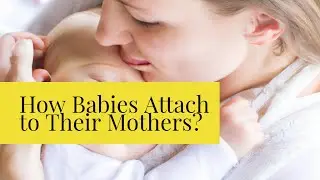 How Babies Attach to Their Mothers | baby and mother relationship