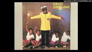 David Simelane - Tsandzekile