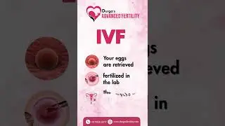 From Hope to Motherhood | IVF Success Stories with Dr. Sree Durga