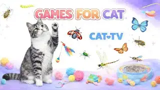 CAT GAMES 🐾 3D Cat TV  Mice & Crickets Chirp Chase! 😹 | 6 Hours 4K60FPS