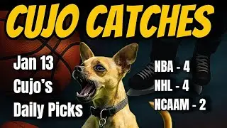 Cujo&rsquo;s Picks for January 13 🐾 NBA, NHL & College Basketball #CujoCatches