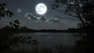 3.93★ | The Koxx - A Fool Moon Night [Rhythm Test] - SV Trill Fest