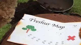 Floppy Dog and the Pirate's Treshur!