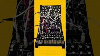 DS21 AUDIO &Eacute;tude &Eacute;lectronique 146 #vcvrack #makenoise