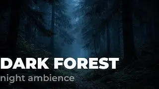 Dark Forest Night Ambience &bull; Wind in Trees & Soft Brown Noise (8 Hours)