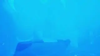 Voll Sch&ouml;n auf Sendung #1 mit Jacob Groening