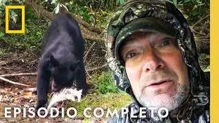 Frenes&iacute; Alimentario de Alaska | Alaska Salvaje con Les Stroud | Nat Geo en Espa&ntilde;ol