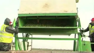 Sprouts from TH Clements & Sons Ltd, Lincolnshire Kitchen