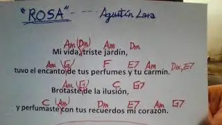 ROSA  Agustín Lara  COVER