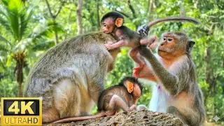 A Mother’s Gentle Care: Protecting Her Little Ones