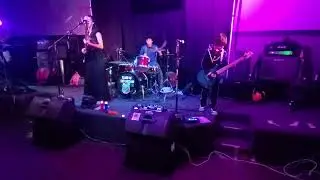 KILL THE HORSE 11/1/25 @ Hilo Town Market 