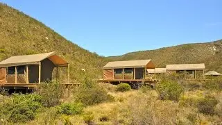TENTED ECO CAMP - Gondwana Game Reserve