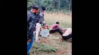 dhool wali letree sath mea desi bangra kabi ap nay na dekha ho ga.es video mea zaroor dekhay.