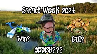 Better Late Than Never - Safari Week 2024