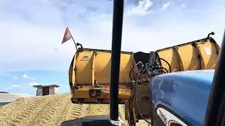 MAIS SILAGE 2025/ KMETIJA PIRC#fendt #cornsilage #silage 