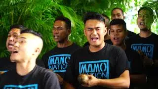 Hālau Nā Mamo O Puʻuanahulu
