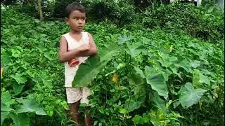 পুকুরে গিয়ে বুলবুলিদের সঙ্গে একি কি হলো ভগবান 🫢 || #singlemomvlog