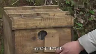 养蜂师傅说做蜂箱一定要注意这几点，做个好蜂箱不简单