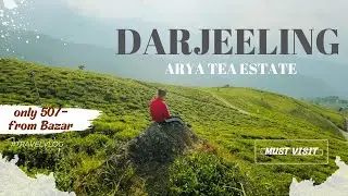Darjeeling nearest Tea Garden | Only 6.4km from Darjeeling bazar | only 50rs to reach there