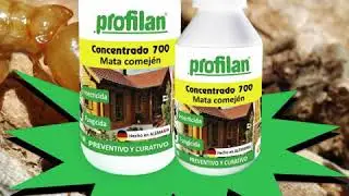 Elimine las terribles termitas de la madera