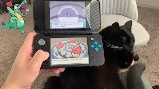 First Ever Shiny Hunt in Pok&eacute;mon SoulSilver