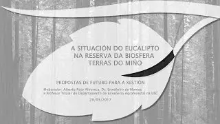 O eucalipto na reserva da biosfera Terras do Mi&ntilde;o: 