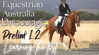 ⭐️PRELIM 1.2 how to ride EA Dressage test🇦🇺#horse #dressage #equestrianjourney