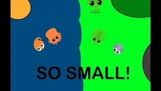 MINI CROCODILE (7k) + OCTOPUS (3k)! SUPER SMALL BABY ANIMALS (mope.io) [Cat Origins]