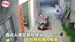 盘点人类在监控下的糗人糗事，一般我不会笑，除非是忍不住了！盘点人类在监控下的糗人糗事，一般我不会笑，除非是忍不住了！