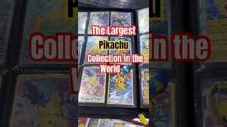 The Largest Pikachu Collection that came up to our #pokemon Booth!