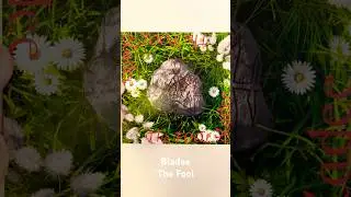 Bladee The Fool Vinyl