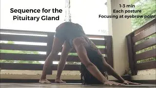 Secuencia de Yoga Para La Gl&aacute;ndula Pituitaria [Gl&aacute;ndula Maestra]