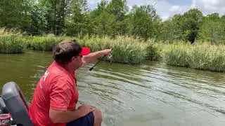 May 2021 Bluegill Fishing Reelfoot Lake Tennessee