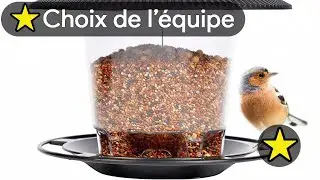 🏆 TOP 3 MEILLEUR MANGEOIRE A OISEAUX 2025