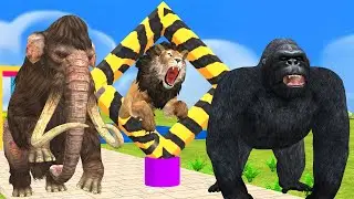 Jumping Over Obstacles Game Wild Animals Gorilla Elephant Lion Bull Fox Animals Funny Games Video