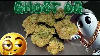 Is Arkansas Medical Marijuana good? pt2 Ghost OG from Leafology