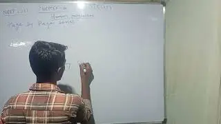 Sexual reproduction in human#/male primary sex organ in human primary sex organ
