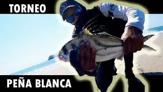 Fishing tournament at PLAYA PE&Ntilde;A BLANCA, MANZANILLO