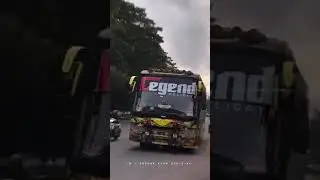 official model bus