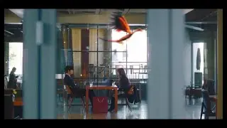 Archaeopteryx Moments [Business Proposal]