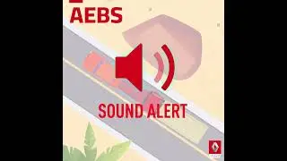 AEBS - THE ADVANCED EMERGENCY BRAKING SYSTEM - RENAULT TRUCKS SAFETY+ EVOLUTION
