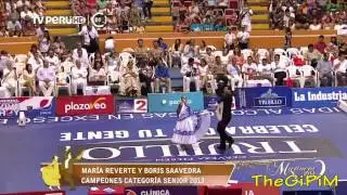 DESPEDIDA CAMPEONES SENIOR 2013 ( HD ) - 54 CONCURSO NACIONAL DE MARINERA 2014