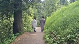 Thandiani,  Abbottabad, Forrest Guest House